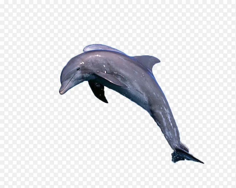 ���� ���� �ɰ�-������