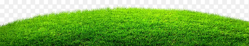 ��-������