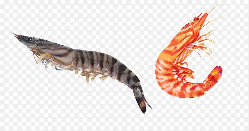 ��Ʒʵ��Ϻ-������