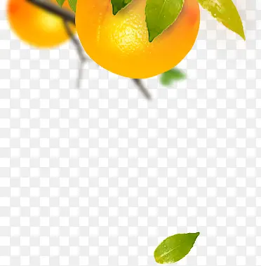 ����ˮ��ˮ���ز�-������