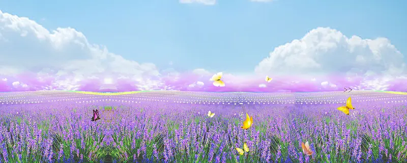 ޹�²ݱ���-������