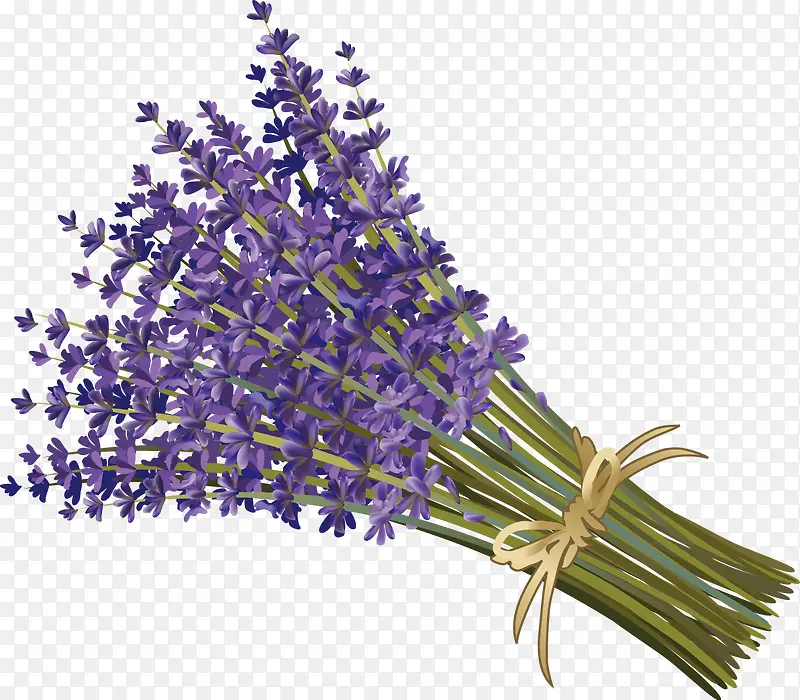 ޹�²�װ�����ʸ��-������