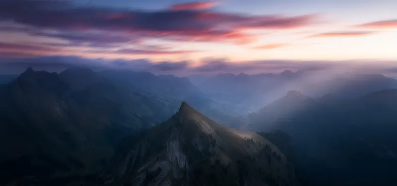 �߷屳��-������