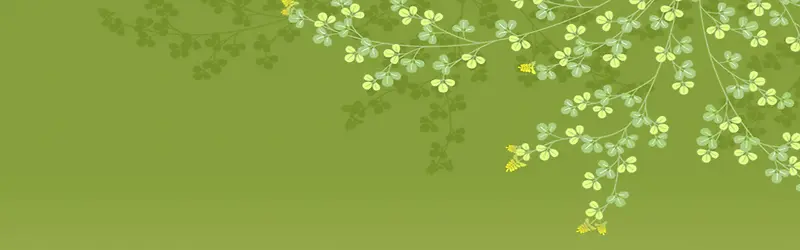 ��Ȼ����-������