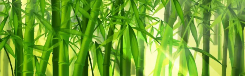 ��Ȼ����-������