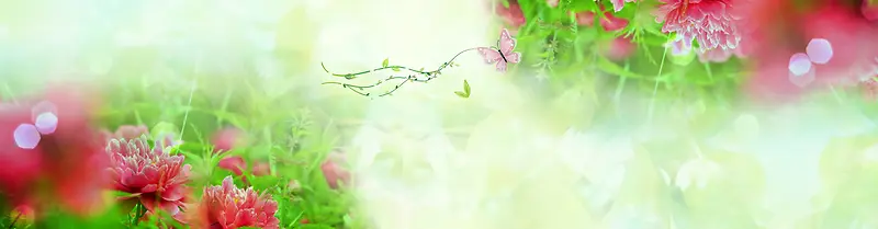 ��Ȼ����-������