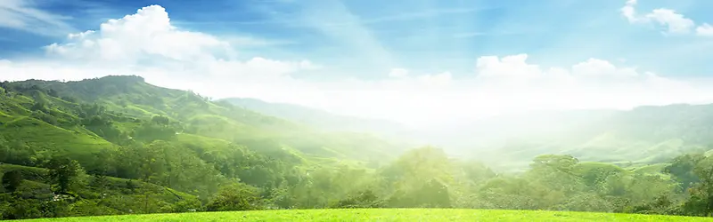 ��Ȼ����-������