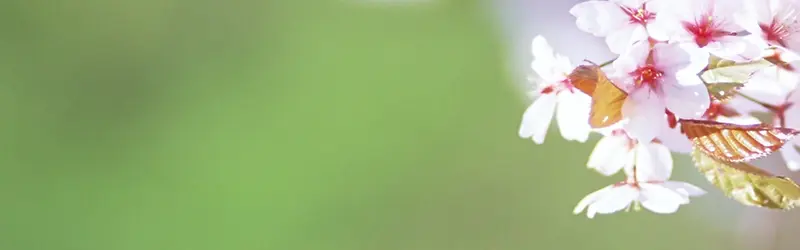 ��Ȼ����-������