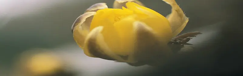 ��Ȼ����-������