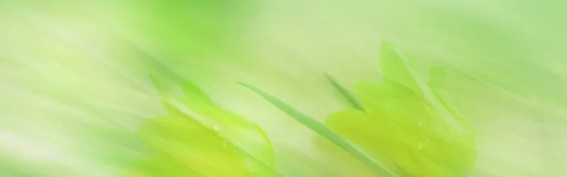 ��Ȼ����-������