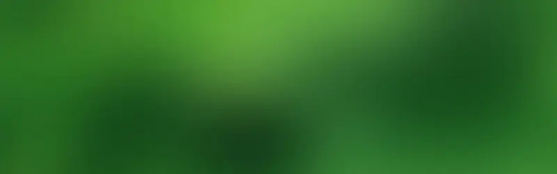 ��Ȼ����-������