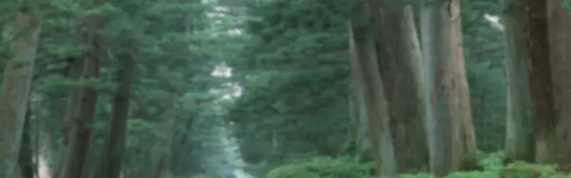 ��Ȼ����-������