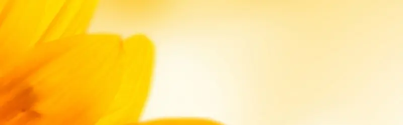 ��Ȼ����-������