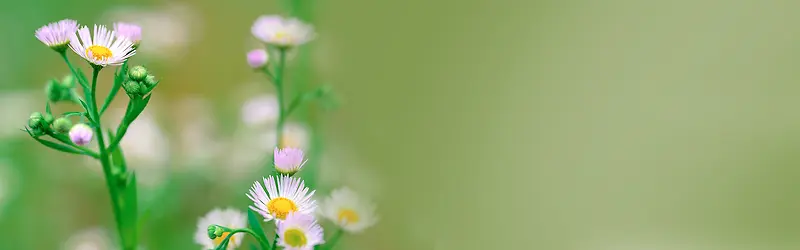 ��Ȼ����-������