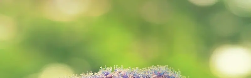 ��Ȼ����-������