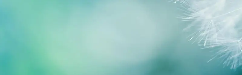 ��Ȼ����-������