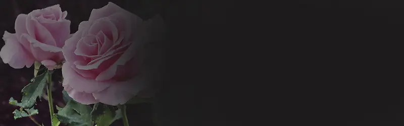 ��Ȼ����-������