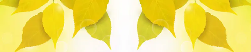 ��Ȼ����-������