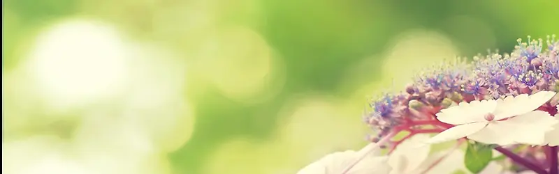 ��Ȼ����-������