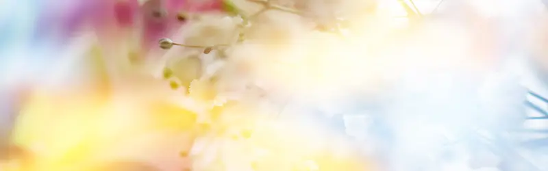 ��Ȼ����-������