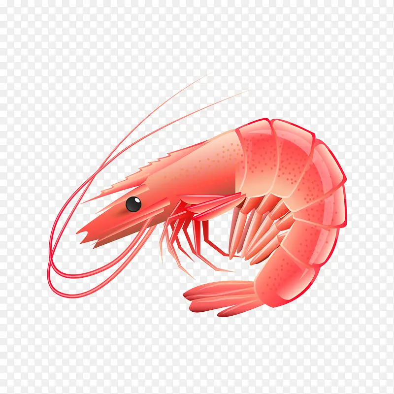 ʳ�� ��Ϻ-������