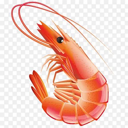 ʳ��-������