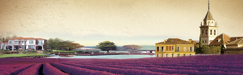 ޹�²ݱ���-������