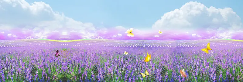 ޹�²ݱ���-������