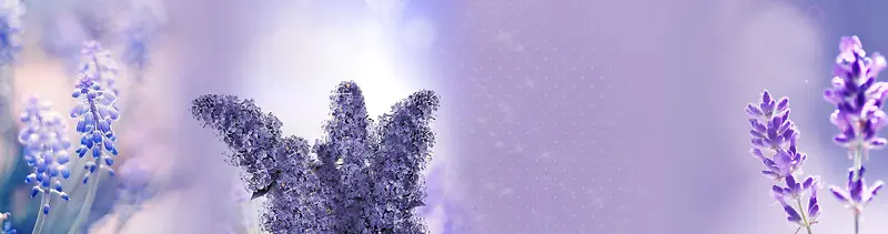 ޹�²ݱ���-������