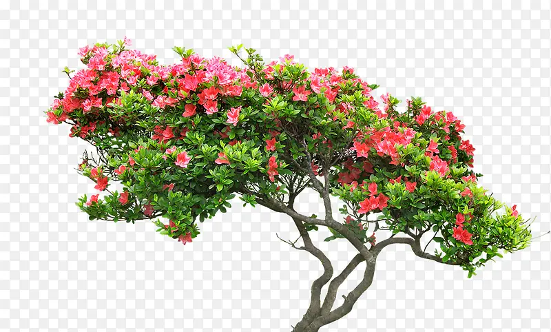 ��-������