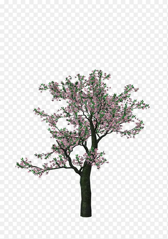 ��-������