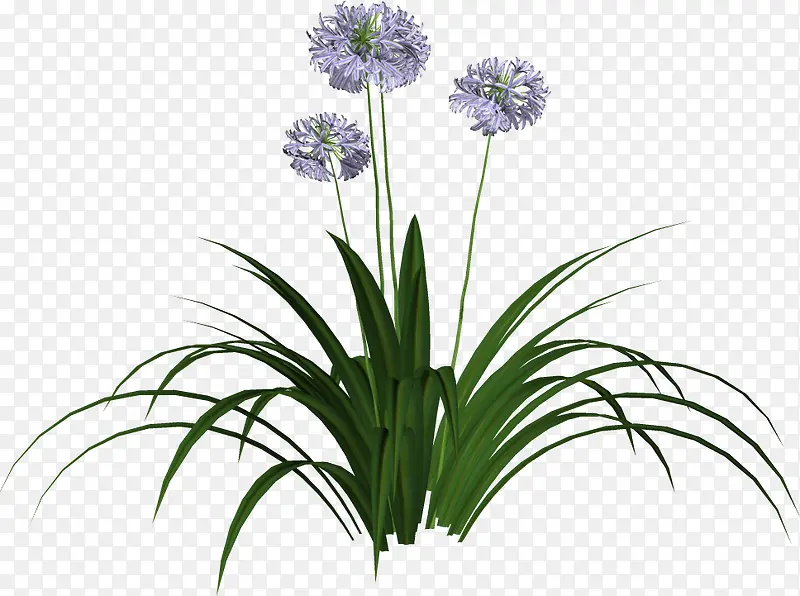 ޹�²�-������