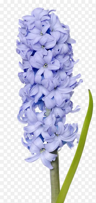 ޹�²�-������