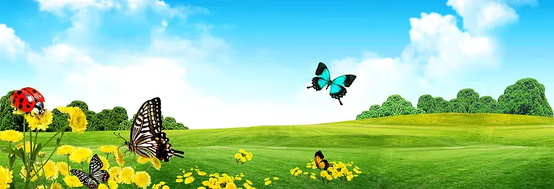 ��Ȼ����-������