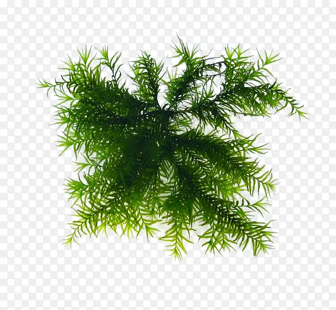 �̲�png�ز�-������