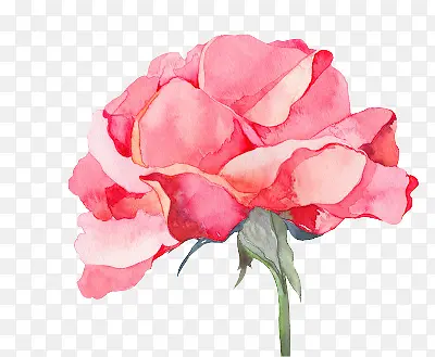 ��ɫ����ܰ�ֻ�廭-������