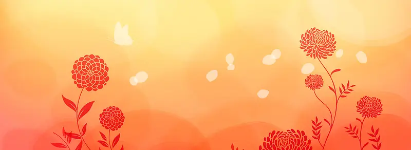 ���ݵİ�-������