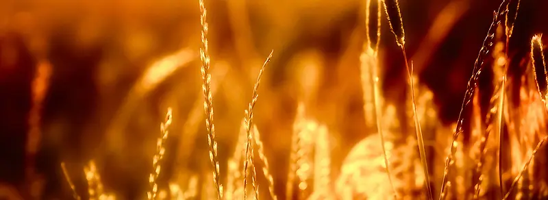 ������С��-������