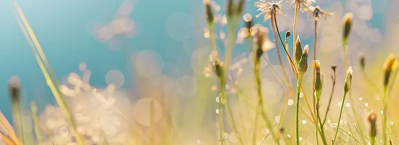 ���ʵĲ�-������