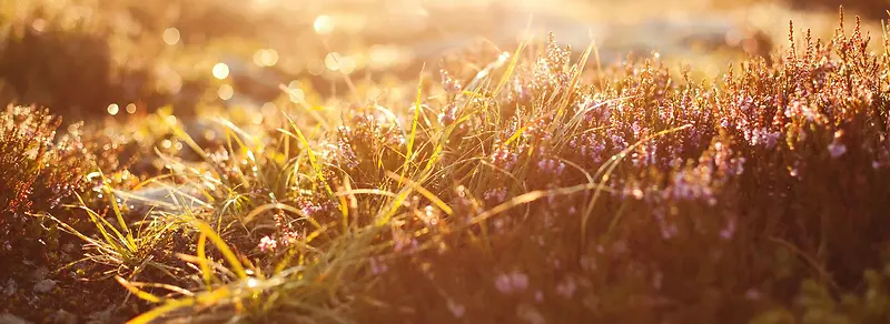 ���µ�С��-������