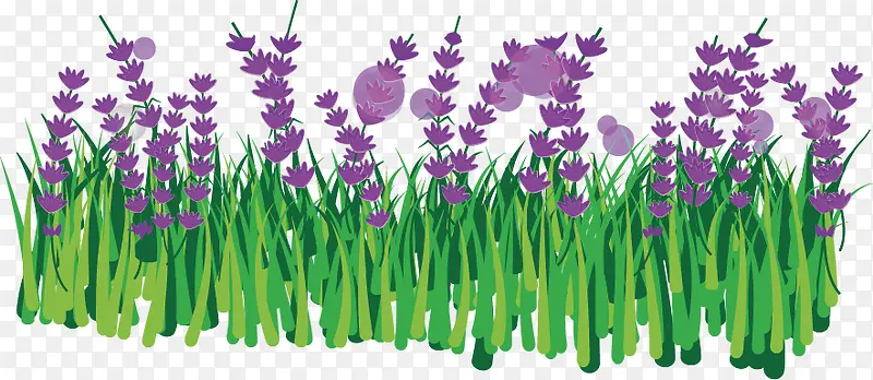 ޹�²ݻ�-������