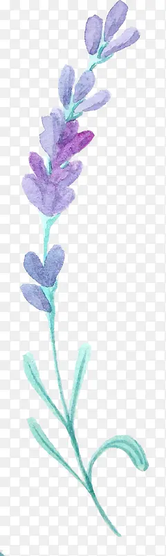 ޹�²�-������