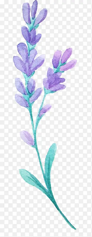 ޹�²�-������