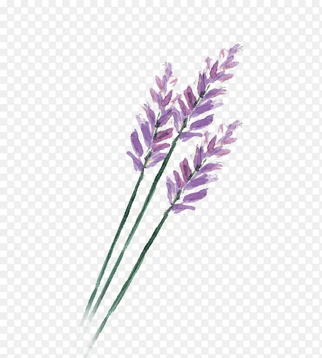 ޹�²�-������