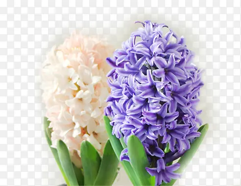 ޹�²�-������