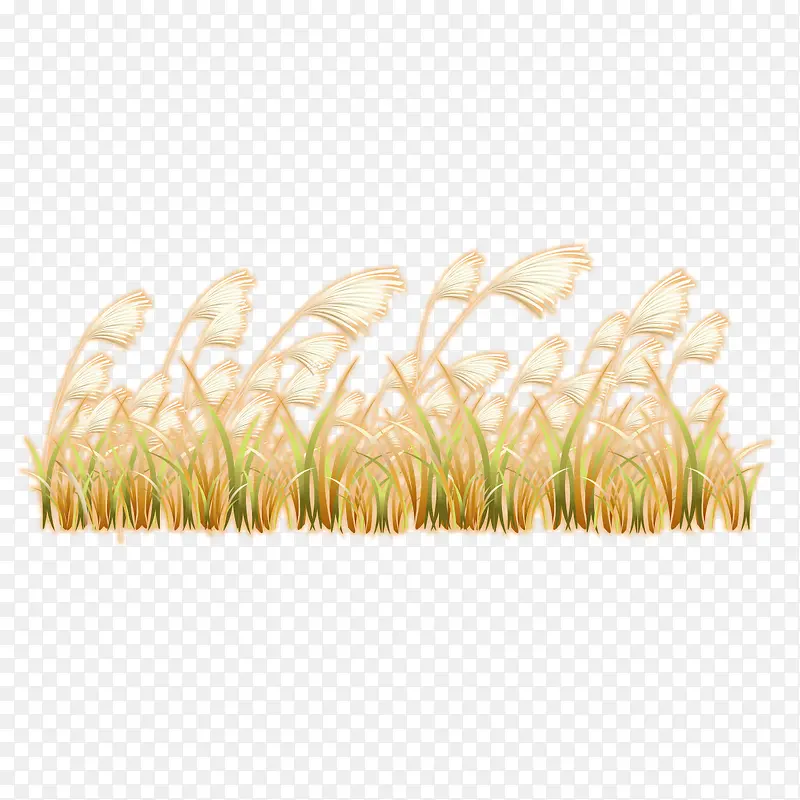 ��ͨ�ֻ��-������