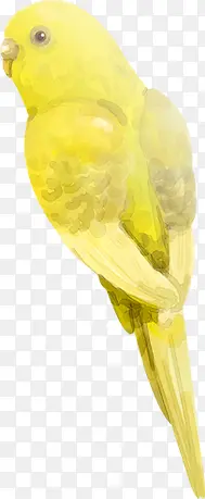 �ֻ����Ĵ���廭-������