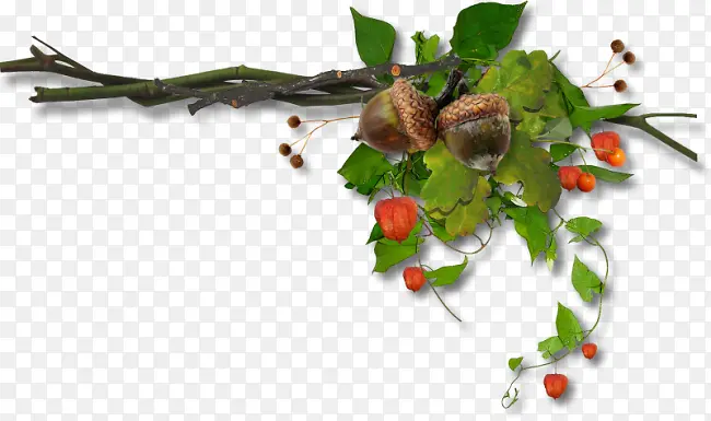 ����png�ز�-������