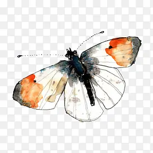 ��ɫ�ɶ��ֻ�-������