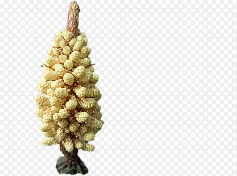 ��ɫɣ�ʵ��-������